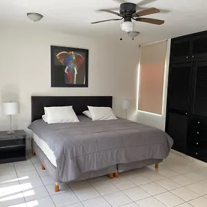 https://excelente-ubicacion-seguridad-y-atencin.allrivieramayahotels.com
